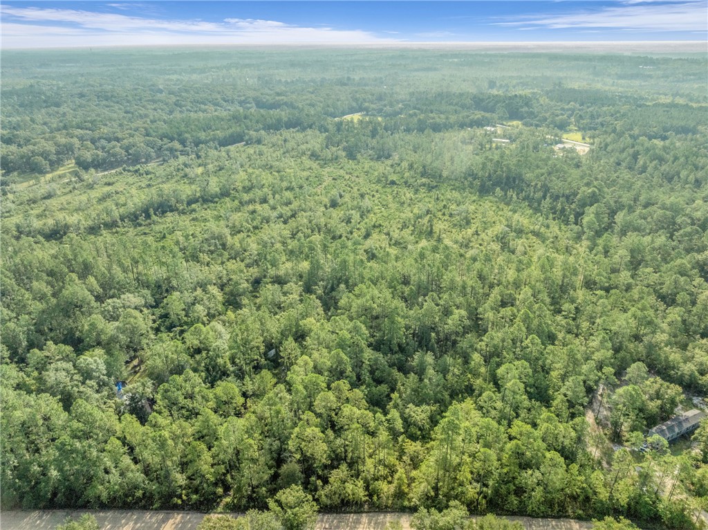 0 Rattler Run Hortense, GA 31543 - Photo 5 of 13