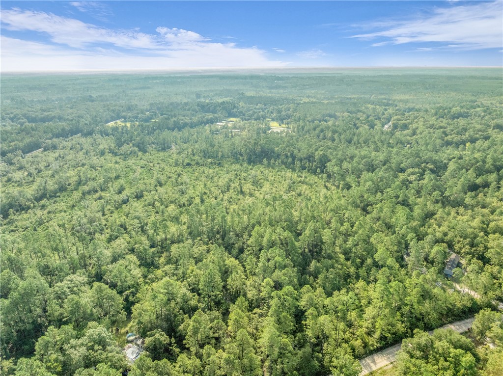 0 Rattler Run Hortense, GA 31543 - Photo 6 of 13