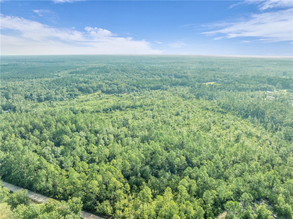 0 Rattler Run Hortense, GA 31543 - Photo 7 of 13