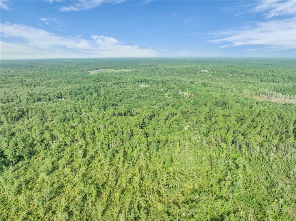 0 Rattler Run Hortense, GA 31543 - Photo 8 of 13