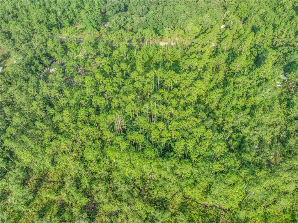 0 Rattler Run Hortense, GA 31543 - Photo 9 of 13