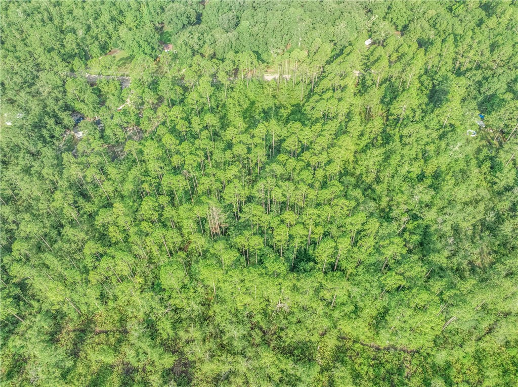 0 Rattler Run Hortense, GA 31543 - Photo 10 of 13