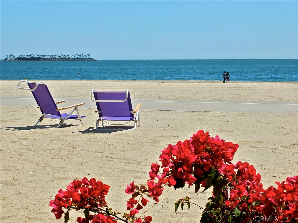 1808 East Appleton Street, Unit 6 Long Beach, CA 90802 - Photo 32 of 41 The beach is within walking distance
