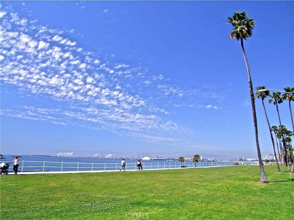 1808 East Appleton Street, Unit 6 Long Beach, CA 90802 - Photo 39 of 41