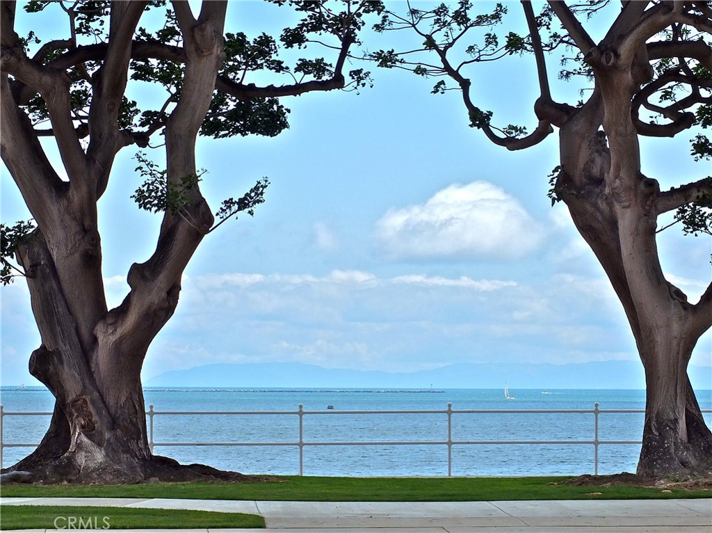 1808 East Appleton Street, Unit 6 Long Beach, CA 90802 - Photo 9 of 41