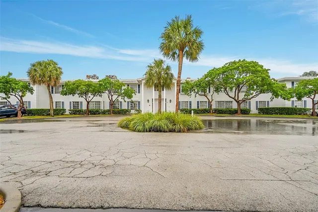 a view of a swimming pool with palm trees