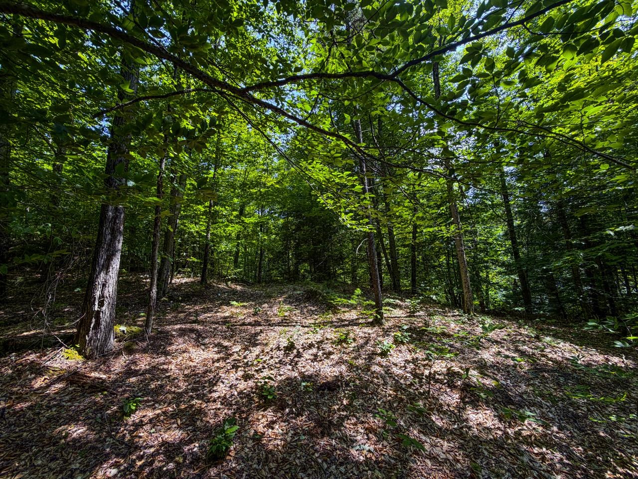 Tbd Taylor Road, Unit 9 Waterbury, VT 05676 - Photo 25 of 39 Gallery Image 25