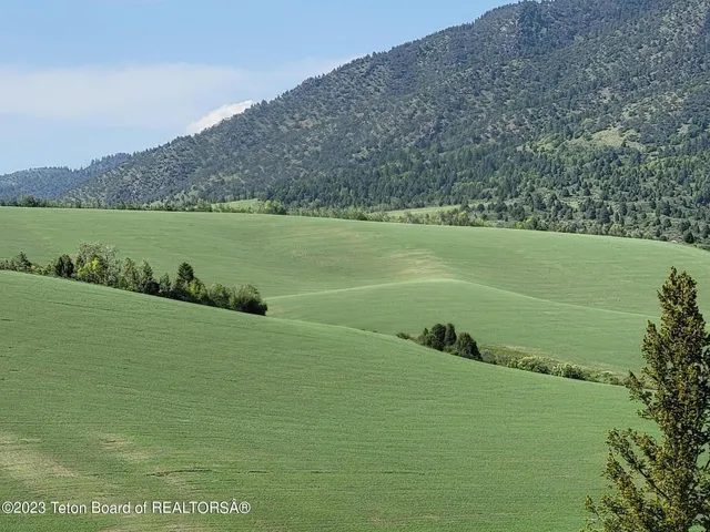 $289,000 | Lot31-32b1 Cutthroat Run, Irwin, ID 83428