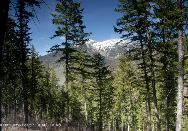 $289,000 | Lot31-32b1 Cutthroat Run, Irwin, ID 83428