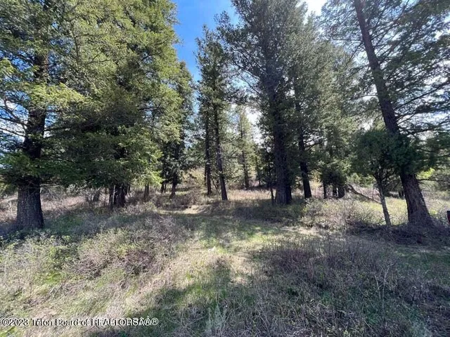 $289,000 | Lot31-32b1 Cutthroat Run, Irwin, ID 83428