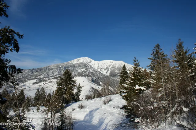 $289,000 | Lot31-32b1 Cutthroat Run, Irwin, ID 83428