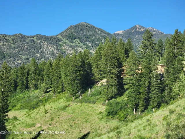 $289,000 | Lot31-32b1 Cutthroat Run, Irwin, ID 83428