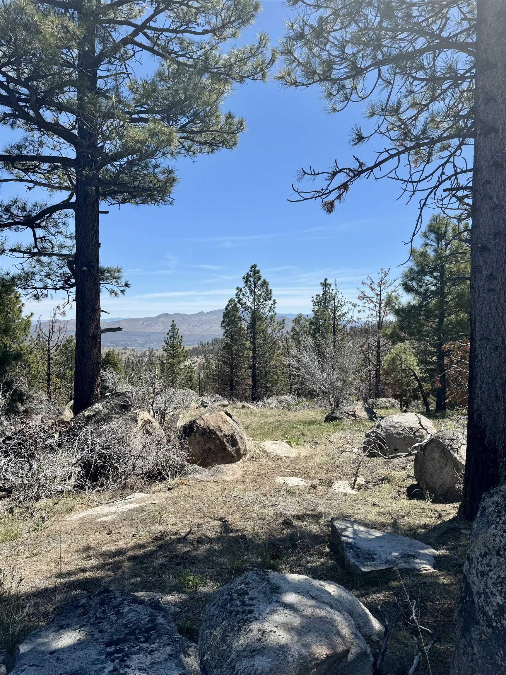 434-100 Diamond Mountain Road Doyle, CA 96109 - Photo 34 of 57