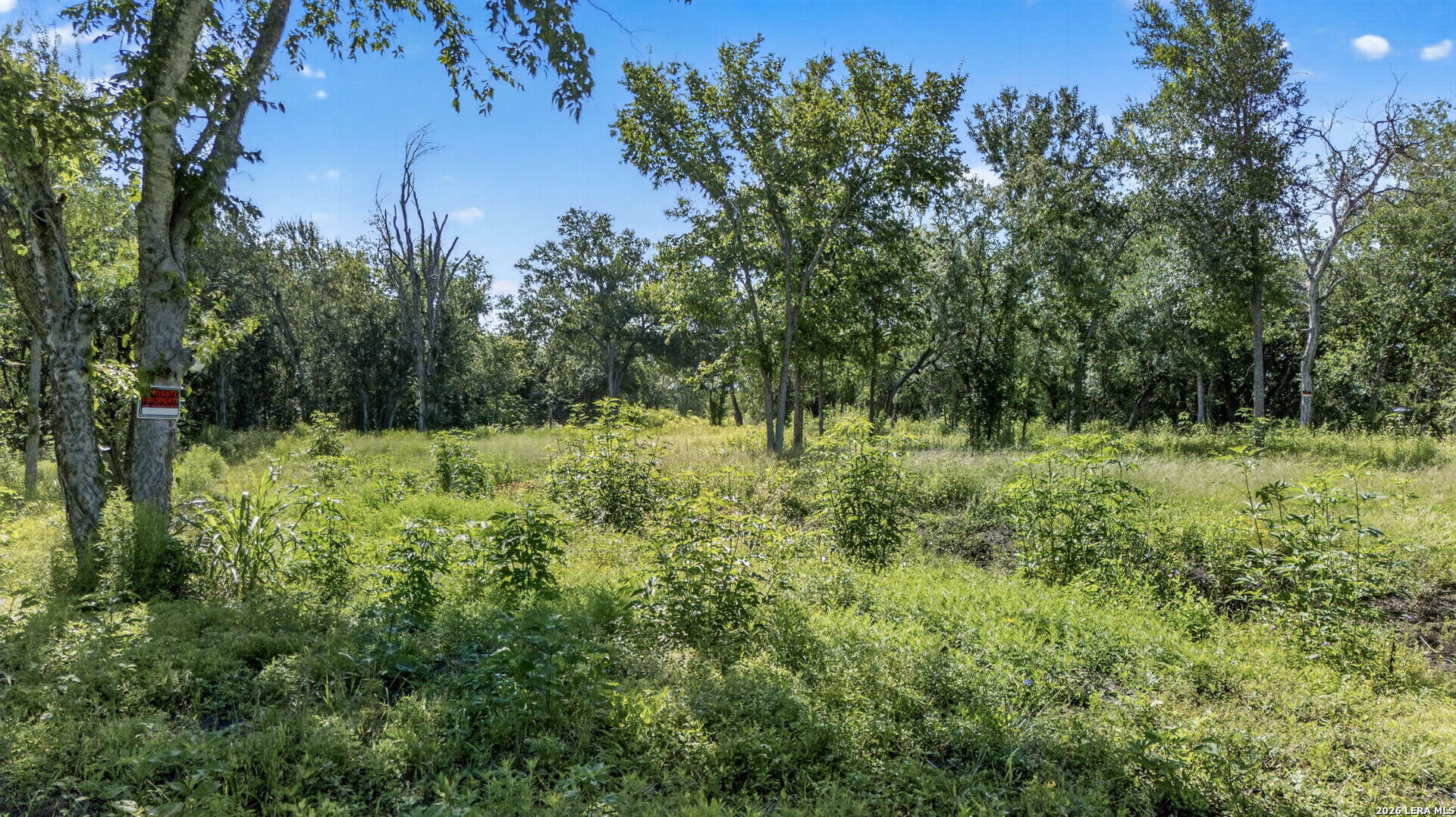 113 Buffalo Gap Seguin, TX 78155 - Photo 25 of 26 a view of outdoor space and green space