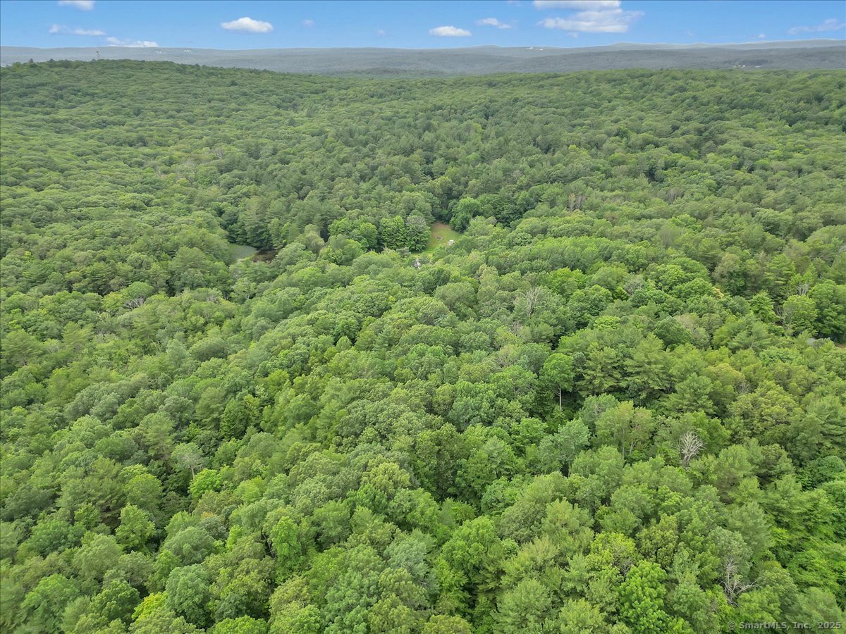 Jared Sparks Road Willington, CT 06279 - Photo 3 of 5 a view of a big yard with plants and large trees