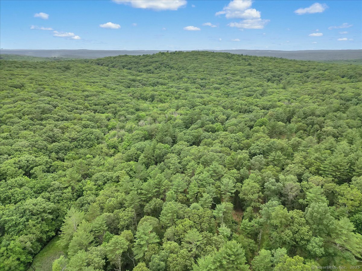 Jared Sparks Road Willington, CT 06279 - Photo 5 of 5 a view of a big yard with an outdoor space