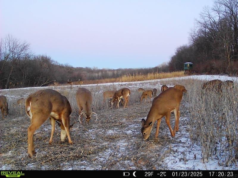 0 Domino Road Volga, IA 52077 - Photo 3 of 30 Gallery Image 3