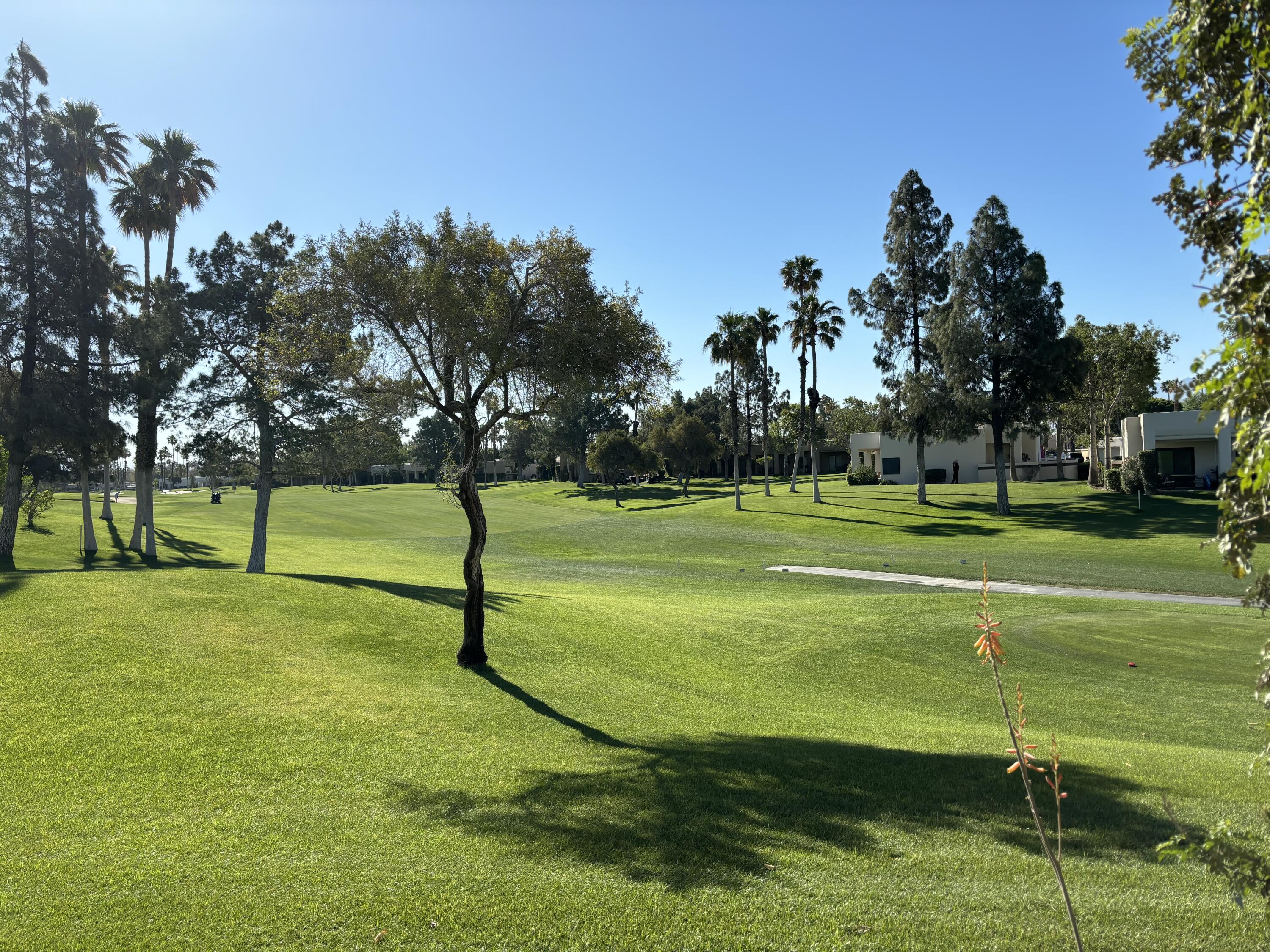 a view of a park