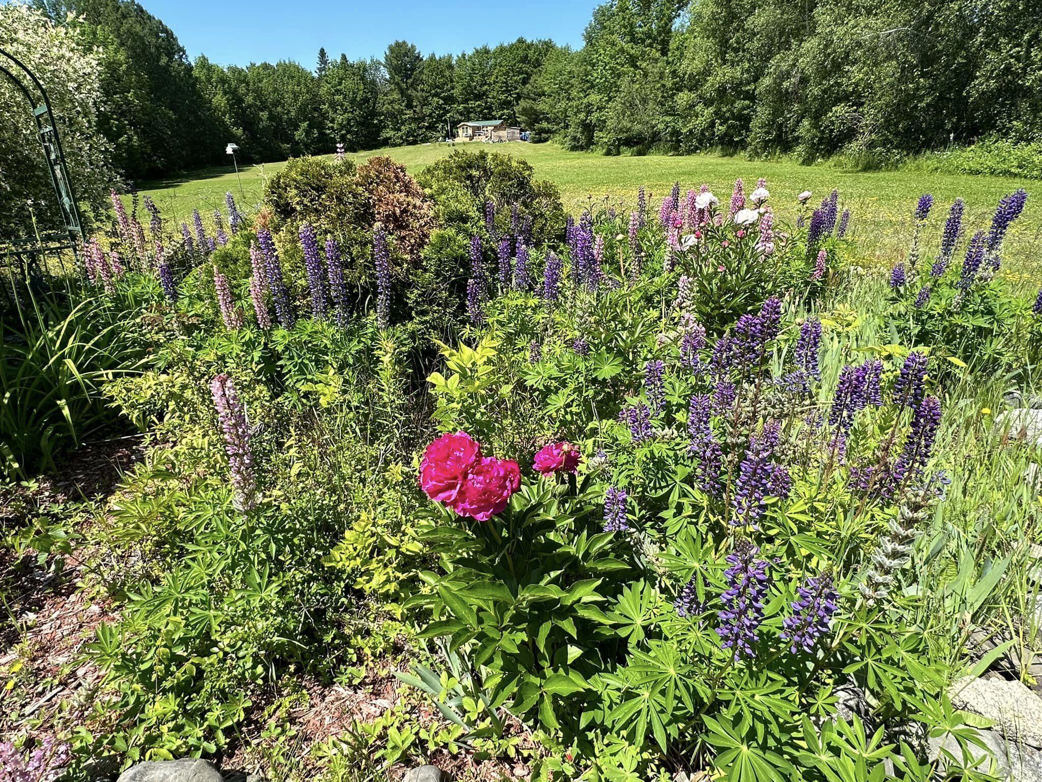 190 Cobb Road Lee, ME 04455 - Photo 54 of 64 HP11