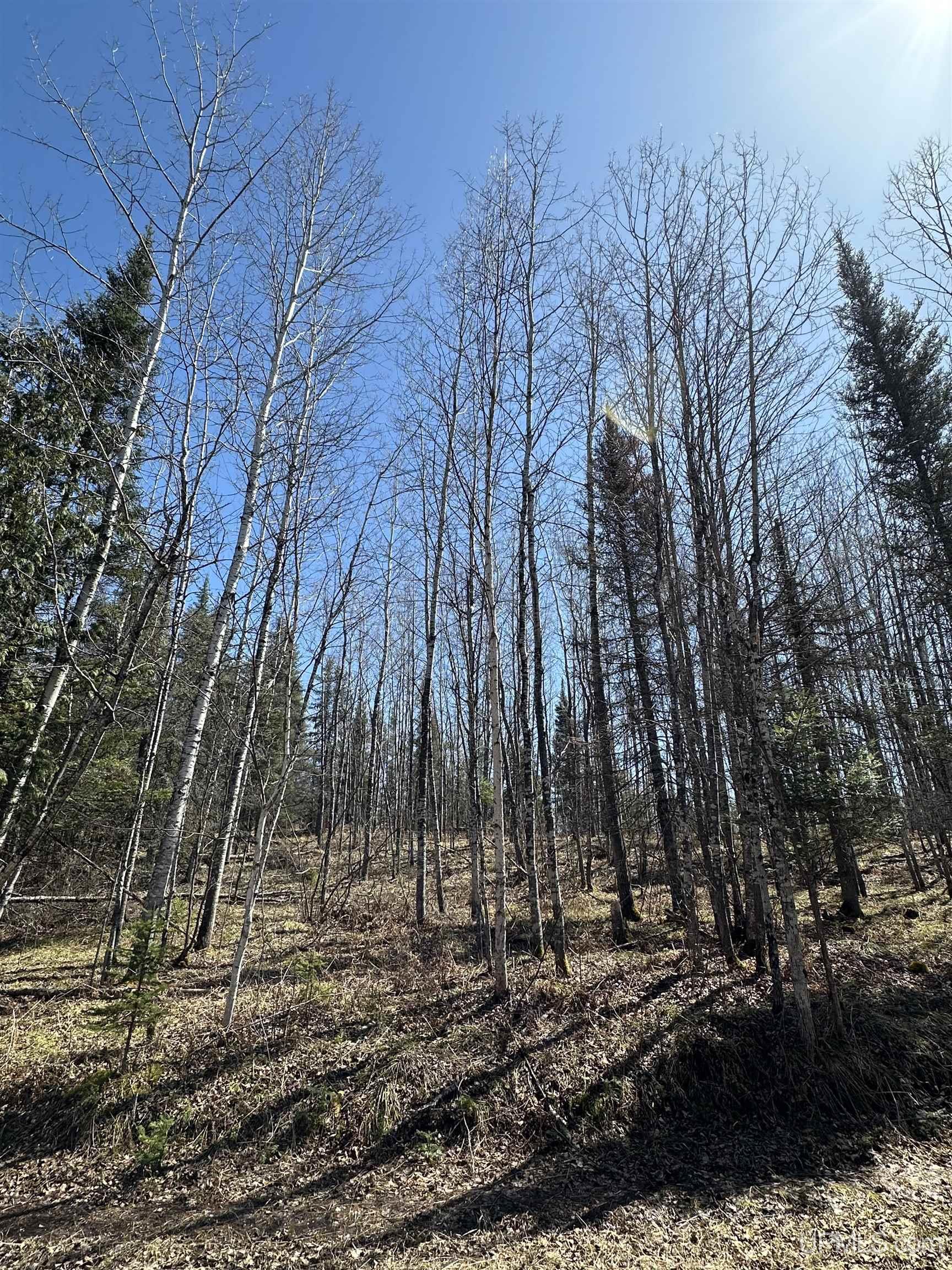 69 Old 69 Road Crystal Falls, MI 49920 - Photo 21 of 21