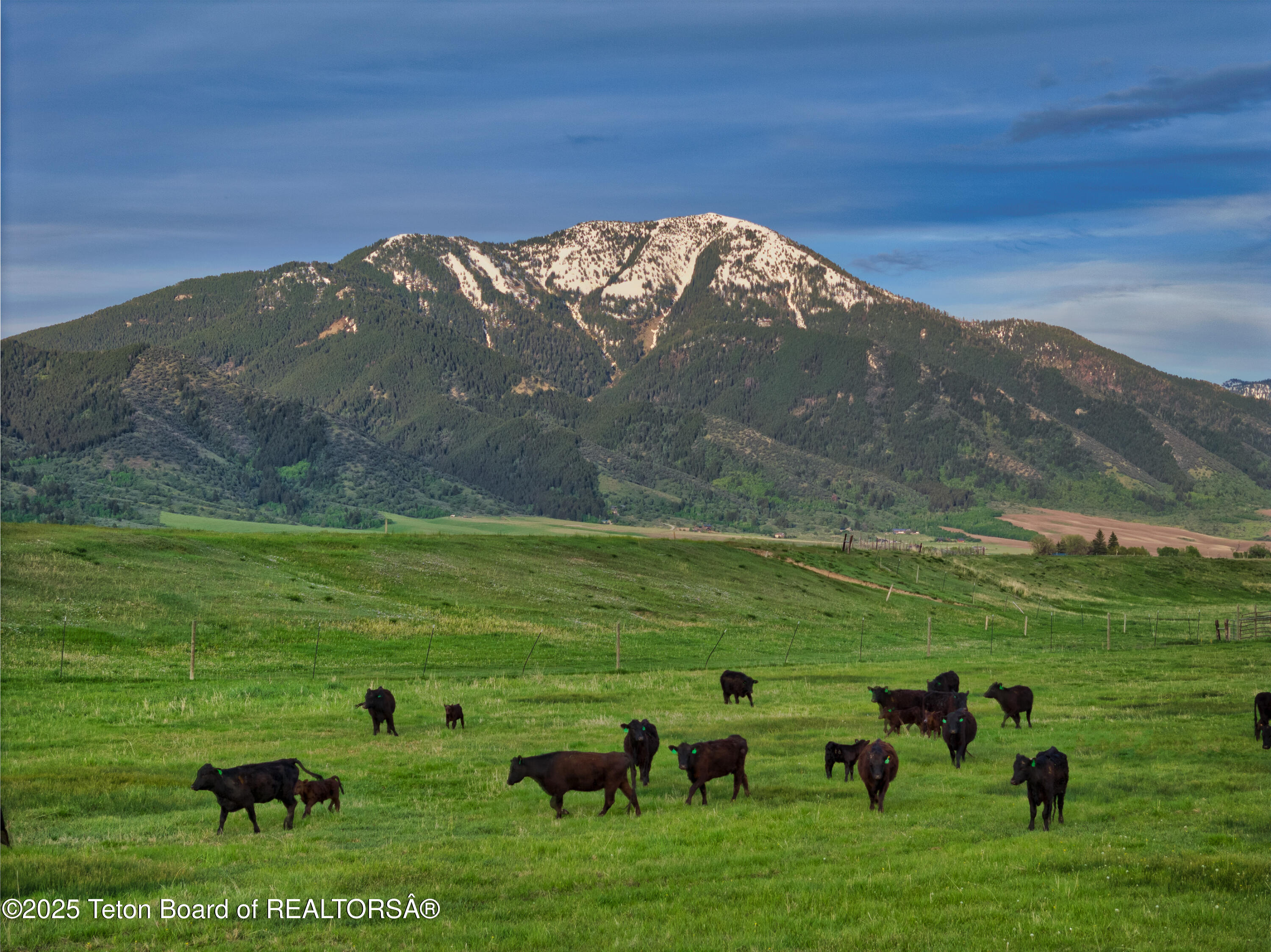 Shurtleff Ranch_Details_For MLS-1