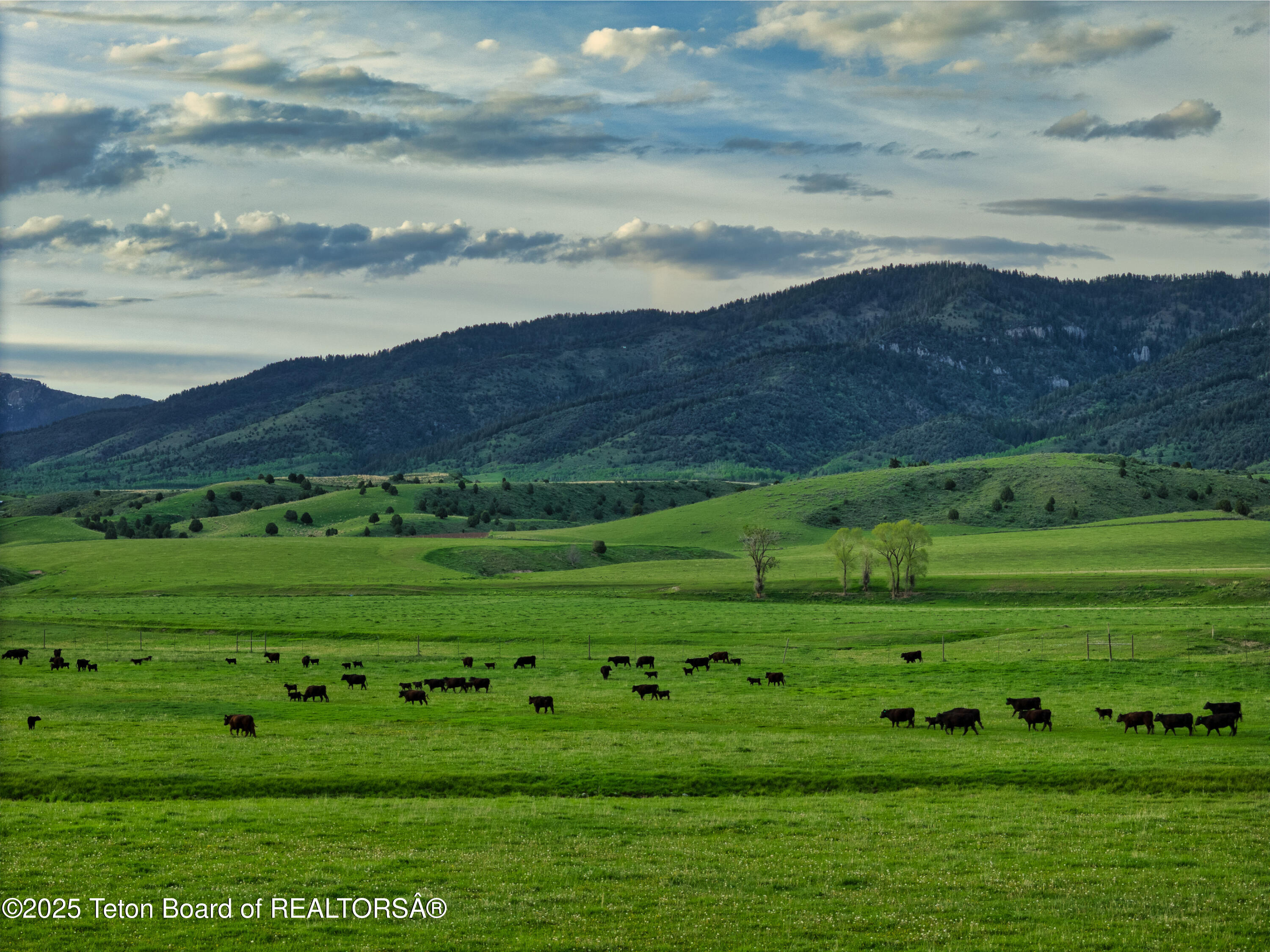 536 Ranger Station Road Swan Valley, ID 83449 - Photo 2 of 16 Shurtleff Ranch_Details_For MLS-2