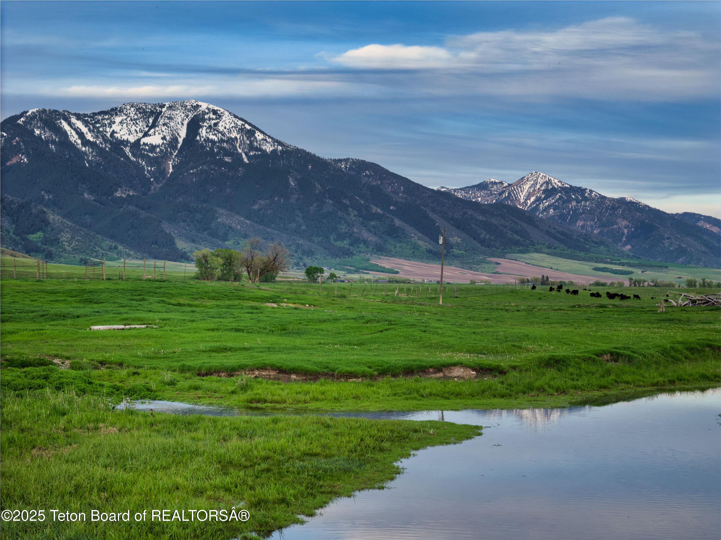 536 Ranger Station Road Swan Valley, ID 83449 - Photo 7 of 16 Shurtleff Ranch_Details_For MLS-7