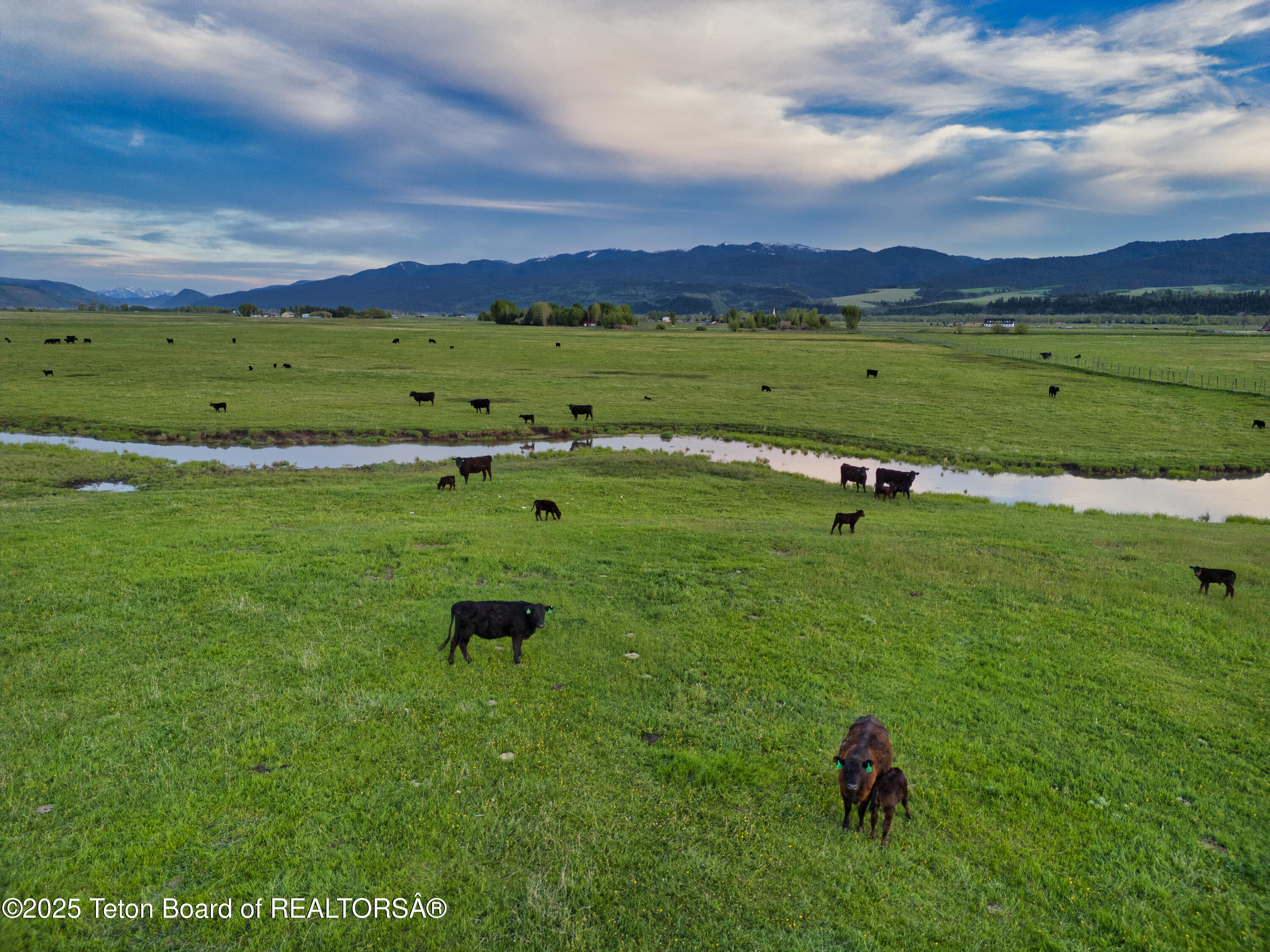 536 Ranger Station Road Swan Valley, ID 83449 - Photo 9 of 16 Shurtleff Ranch_Details_For MLS-9