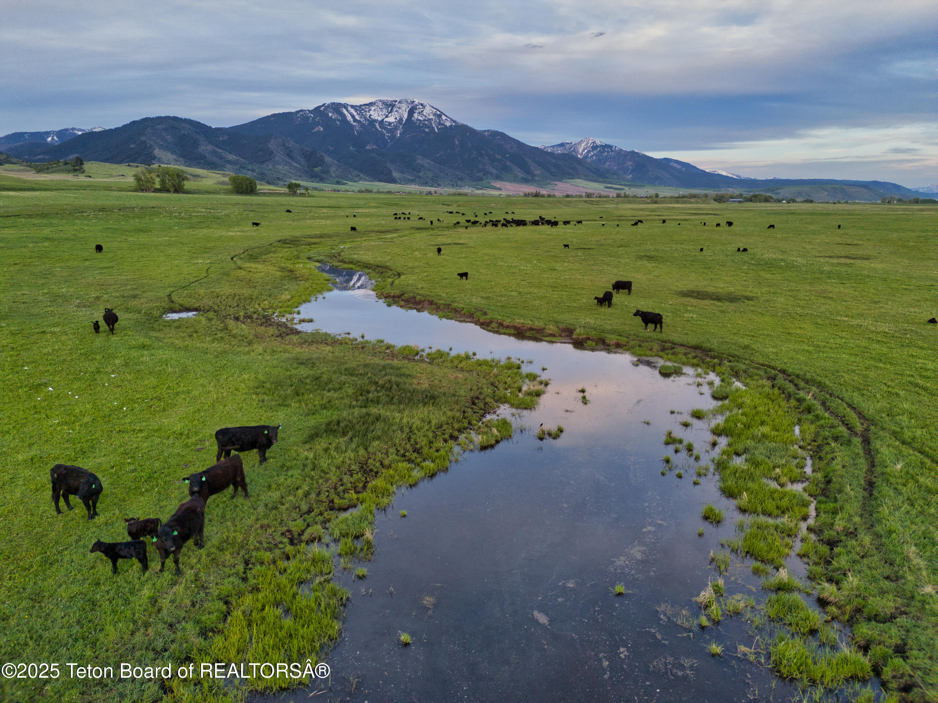 536 Ranger Station Road Swan Valley, ID 83449 - Photo 10 of 16 Shurtleff Ranch_Details_For MLS-10