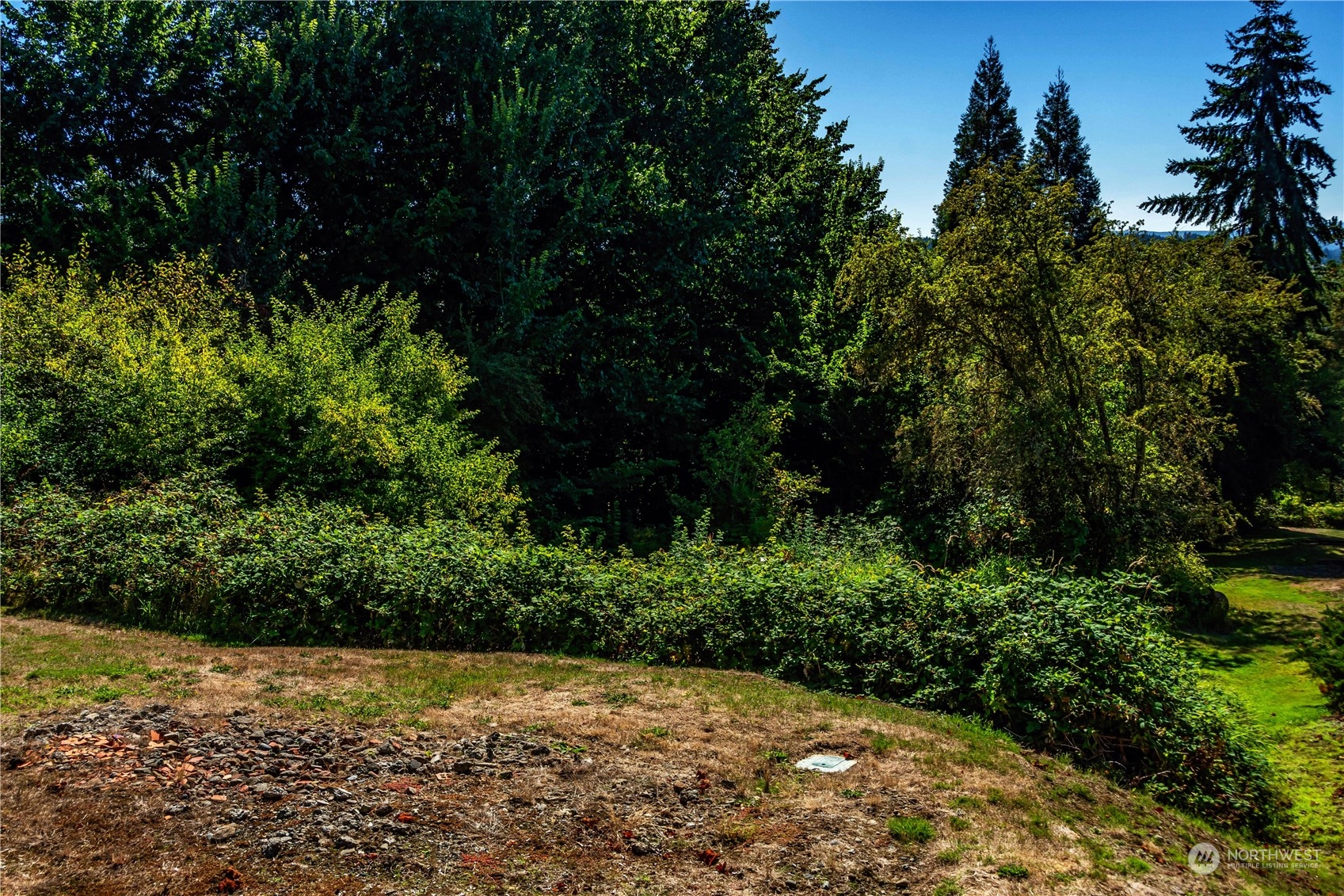 0 Southeast Evergreen Drive Chehalis, WA 98532 - Photo 3 of 10