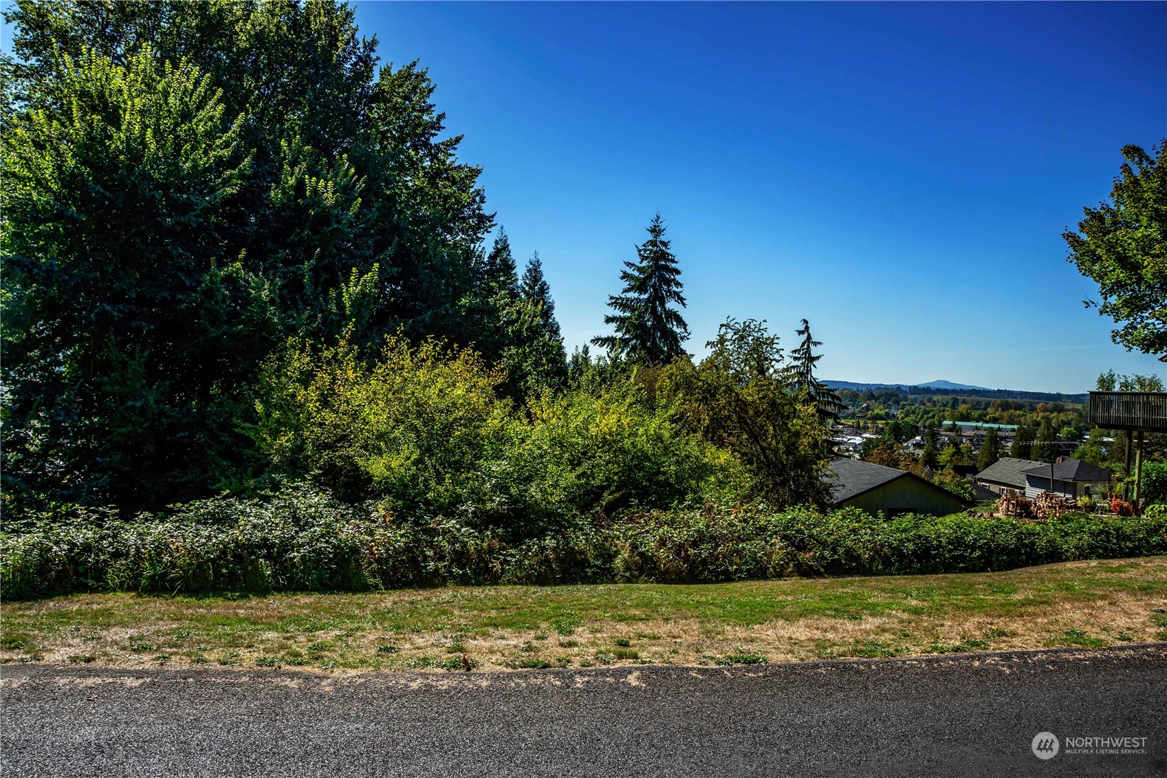 0 Southeast Evergreen Drive Chehalis, WA 98532 - Photo 4 of 10