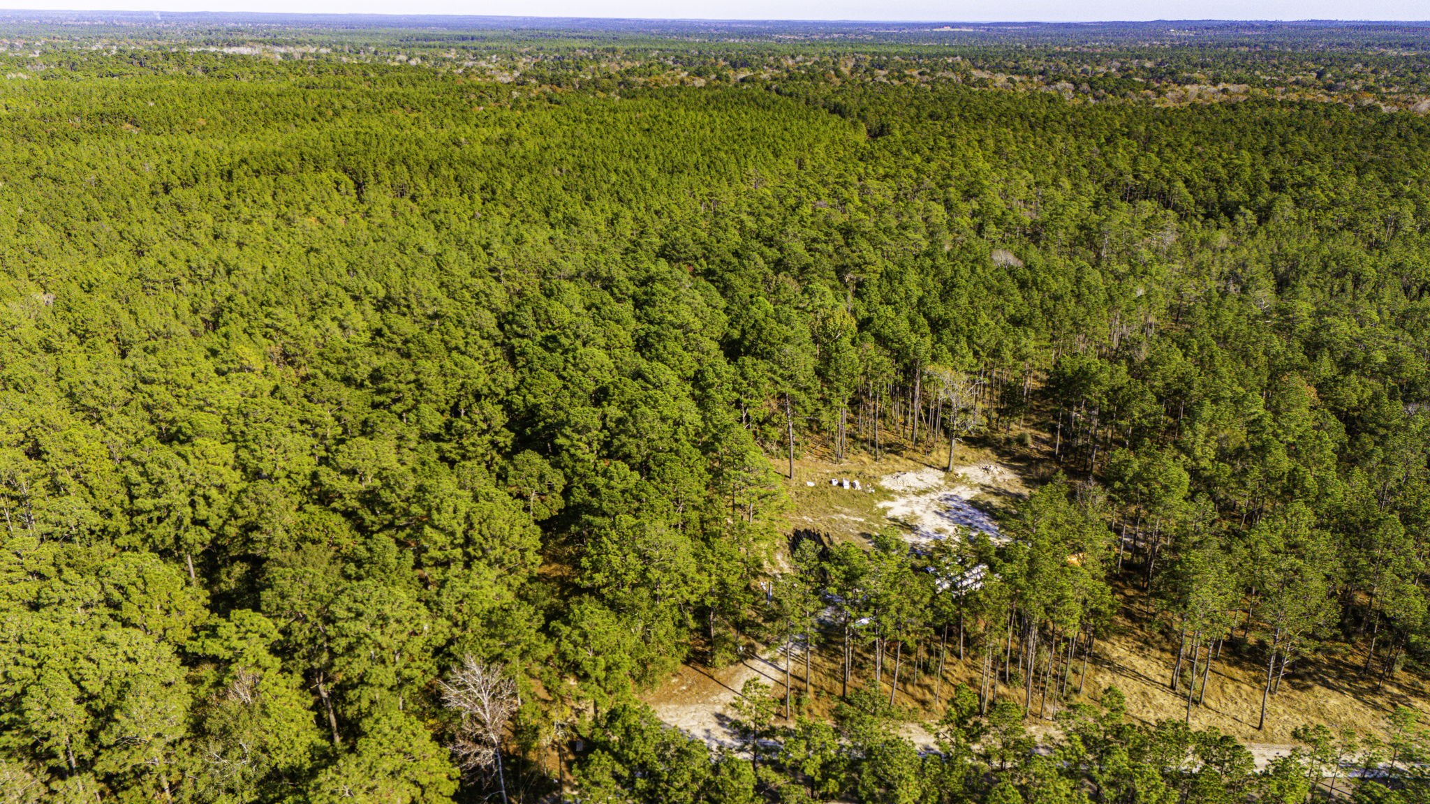 313 King Ranch Road Onalaska, TX 77360 - Photo 11 of 24 a view of a large body of water with a large tree