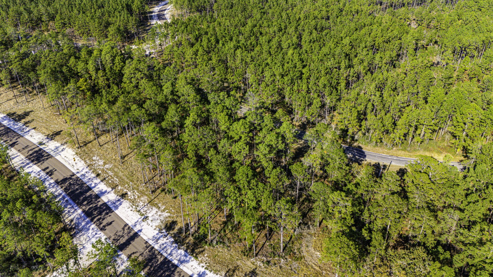 313 King Ranch Road Onalaska, TX 77360 - Photo 13 of 24 a view of a yard with a tree