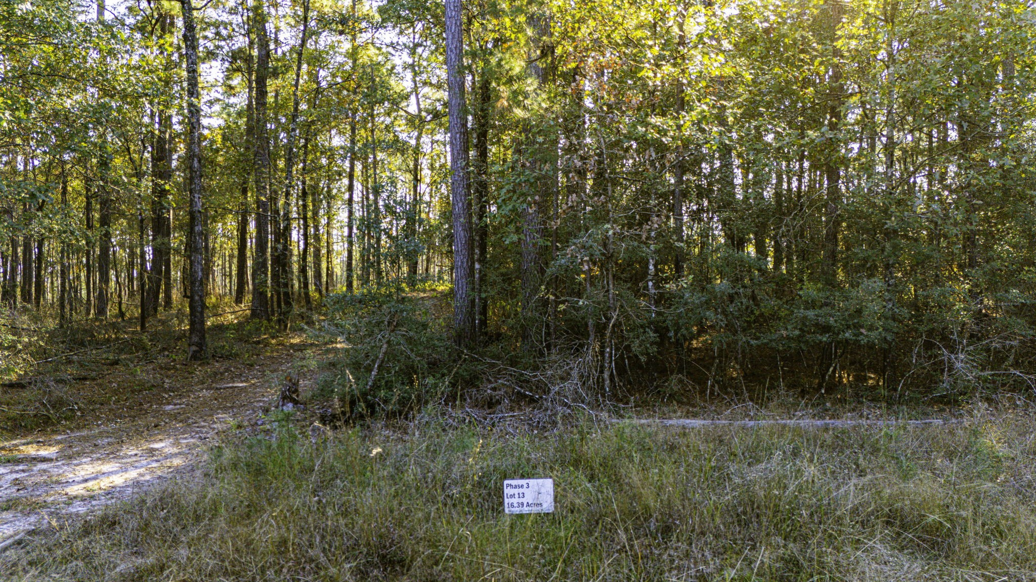 313 King Ranch Road Onalaska, TX 77360 - Photo 19 of 24 a view of outdoor space and yard