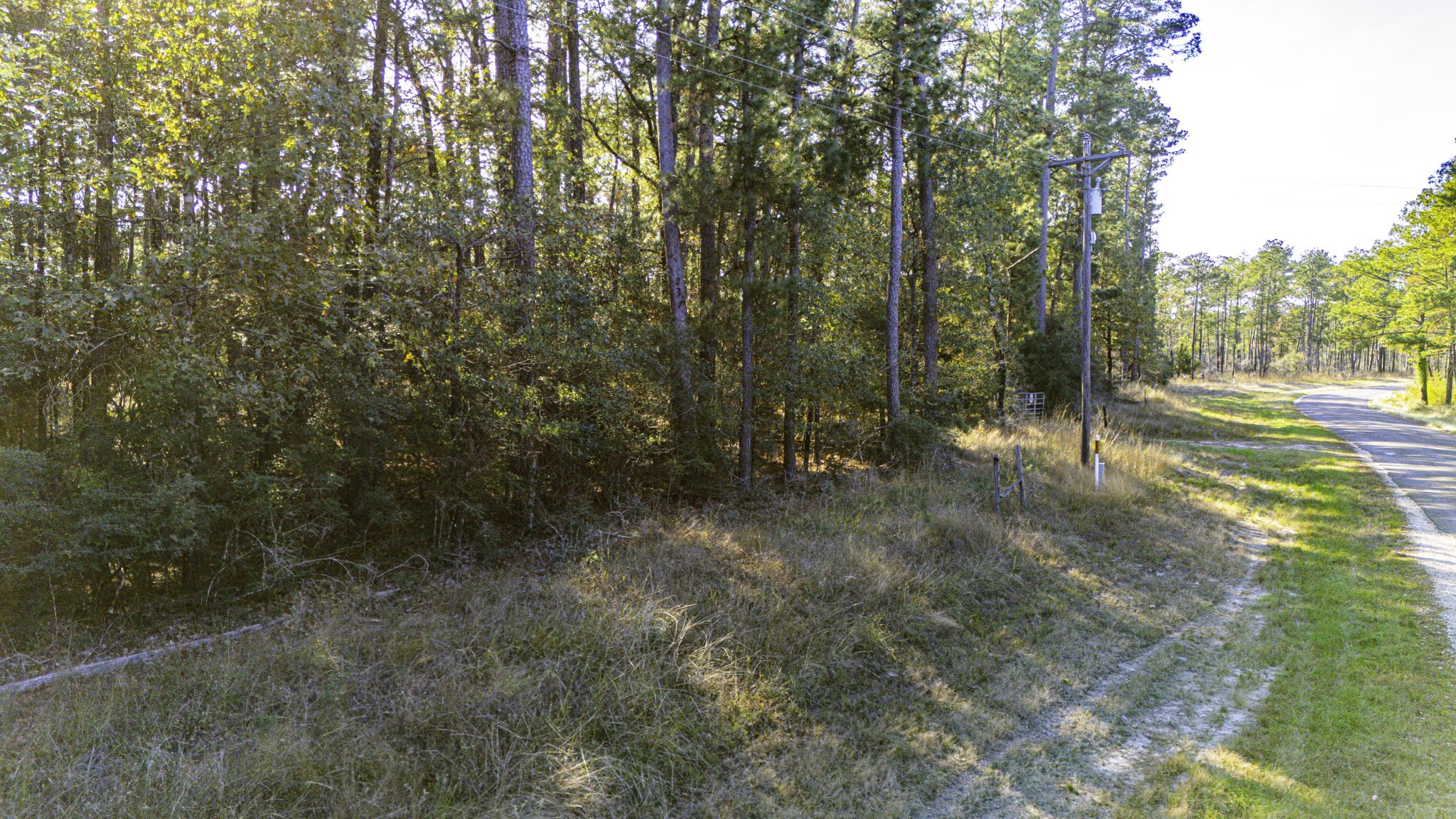 313 King Ranch Road Onalaska, TX 77360 - Photo 22 of 24 a view of a forest with trees