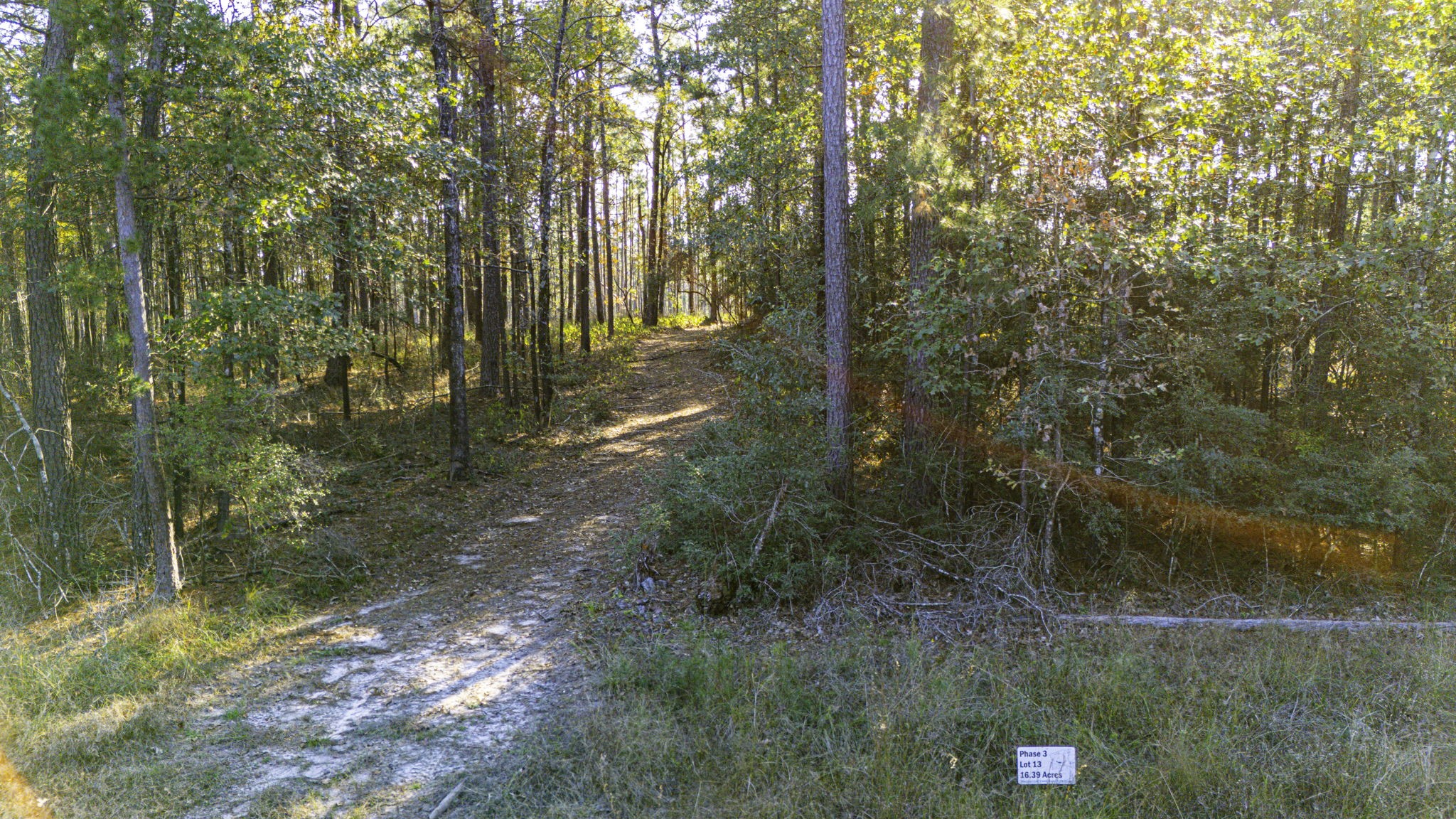 313 King Ranch Road Onalaska, TX 77360 - Photo 23 of 24 a view of forest