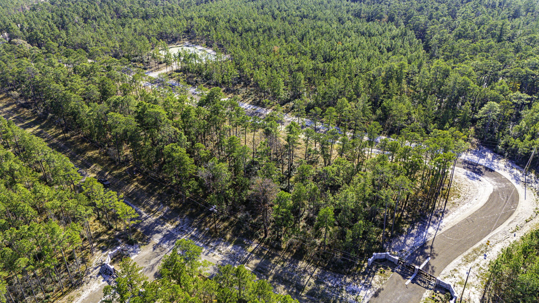 313 King Ranch Road Onalaska, TX 77360 - Photo 7 of 24 a view of a garden with a plant