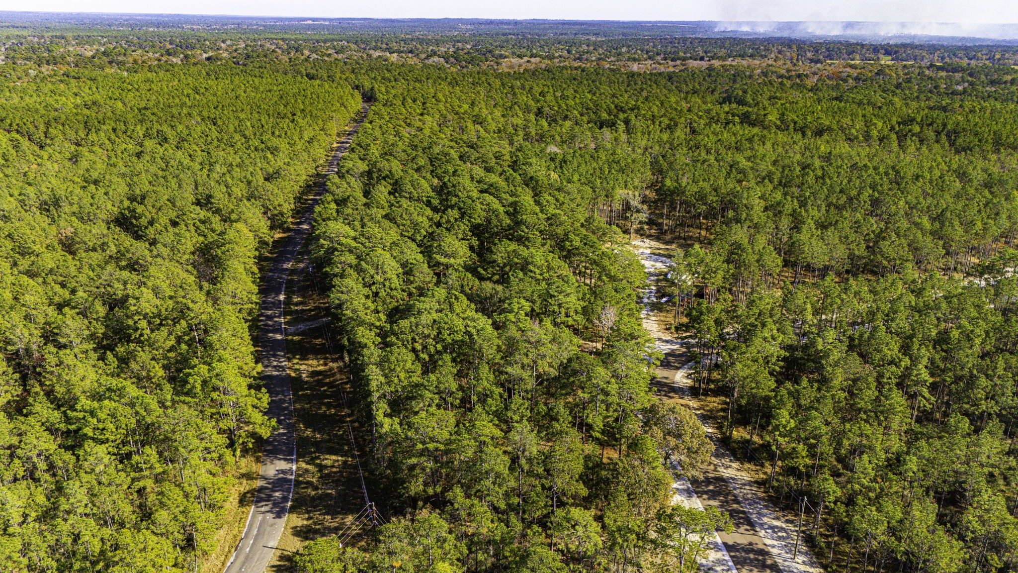 313 King Ranch Road Onalaska, TX 77360 - Photo 9 of 24 a view of a green field
