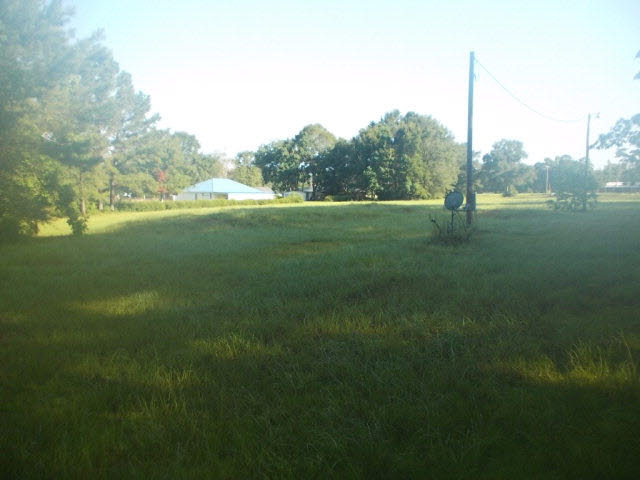 39883 T A Chastang Road Bay Minette, AL 36507 - Photo 2 of 5