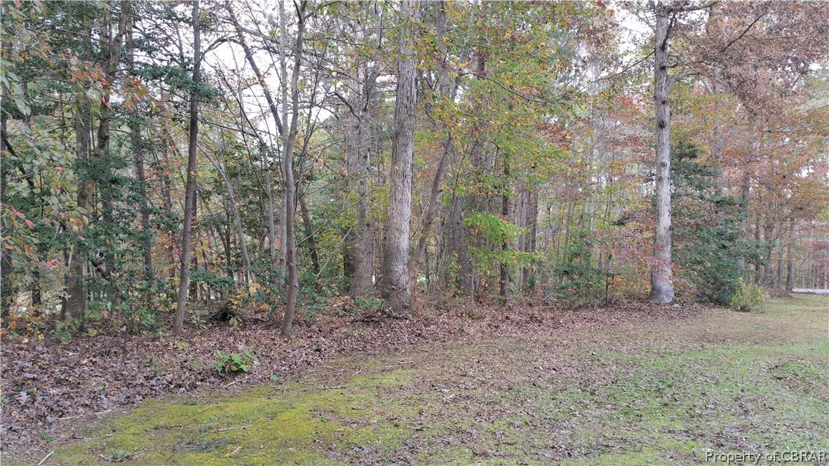 10475 Figg Shop Road Gloucester, VA 23061 - Photo 3 of 22 Large Side Yard