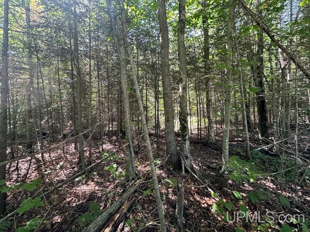 Parcel B Webb Road Grand Marais, MI 49839 - Photo 13 of 28