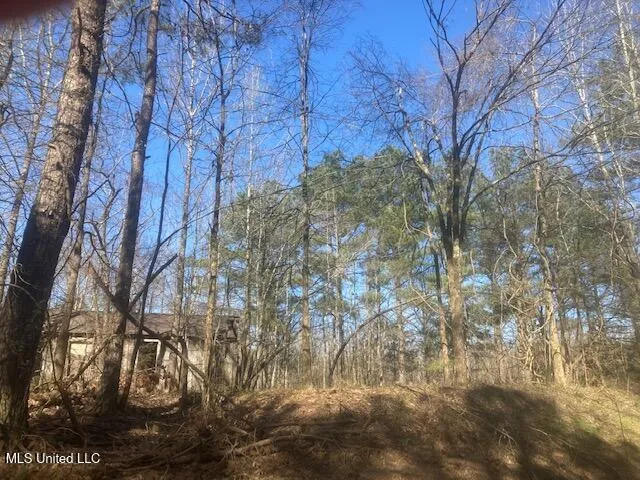 $549,000 | 0 Hogan Road, Lamar, MS 38642