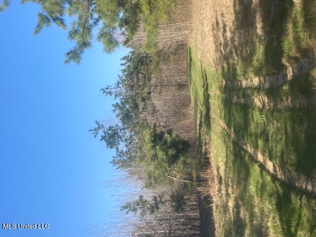0 Hogan Road Lamar, MS 38642 - Photo 4 of 10 Road Frontage View