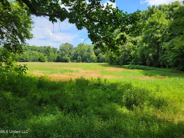 $549,000 | 0 Hogan Road, Lamar, MS 38642