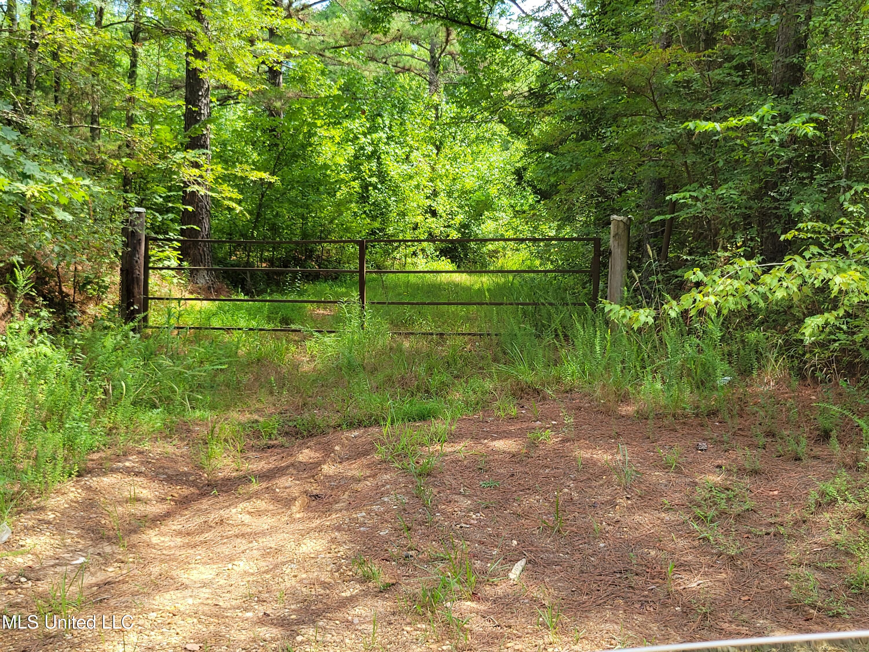 0 Hogan Road Lamar, MS 38642 - Photo 7 of 10 gate hogan pic