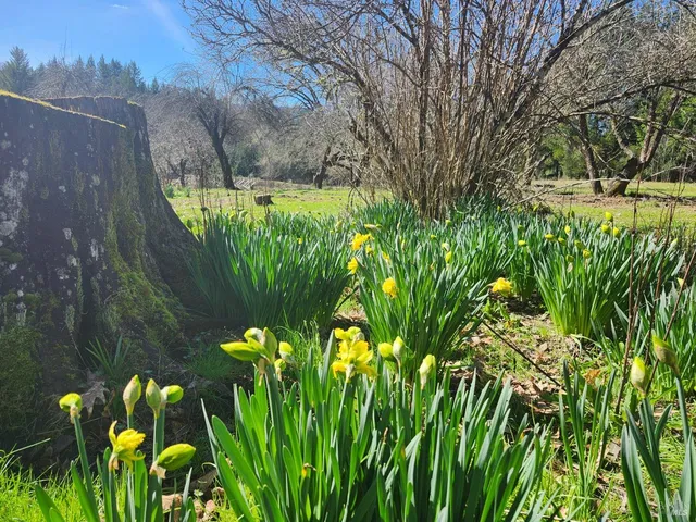 $349,000 | 1075 Dutyville Road, Garberville, CA 95542