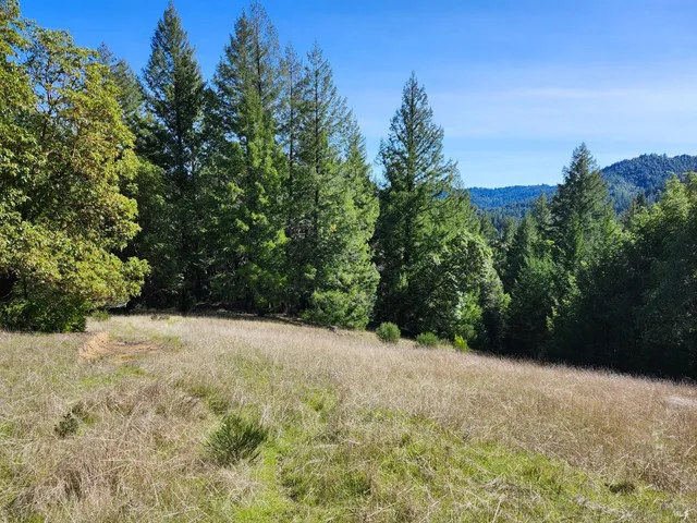 $349,000 | 1075 Dutyville Road, Garberville, CA 95542