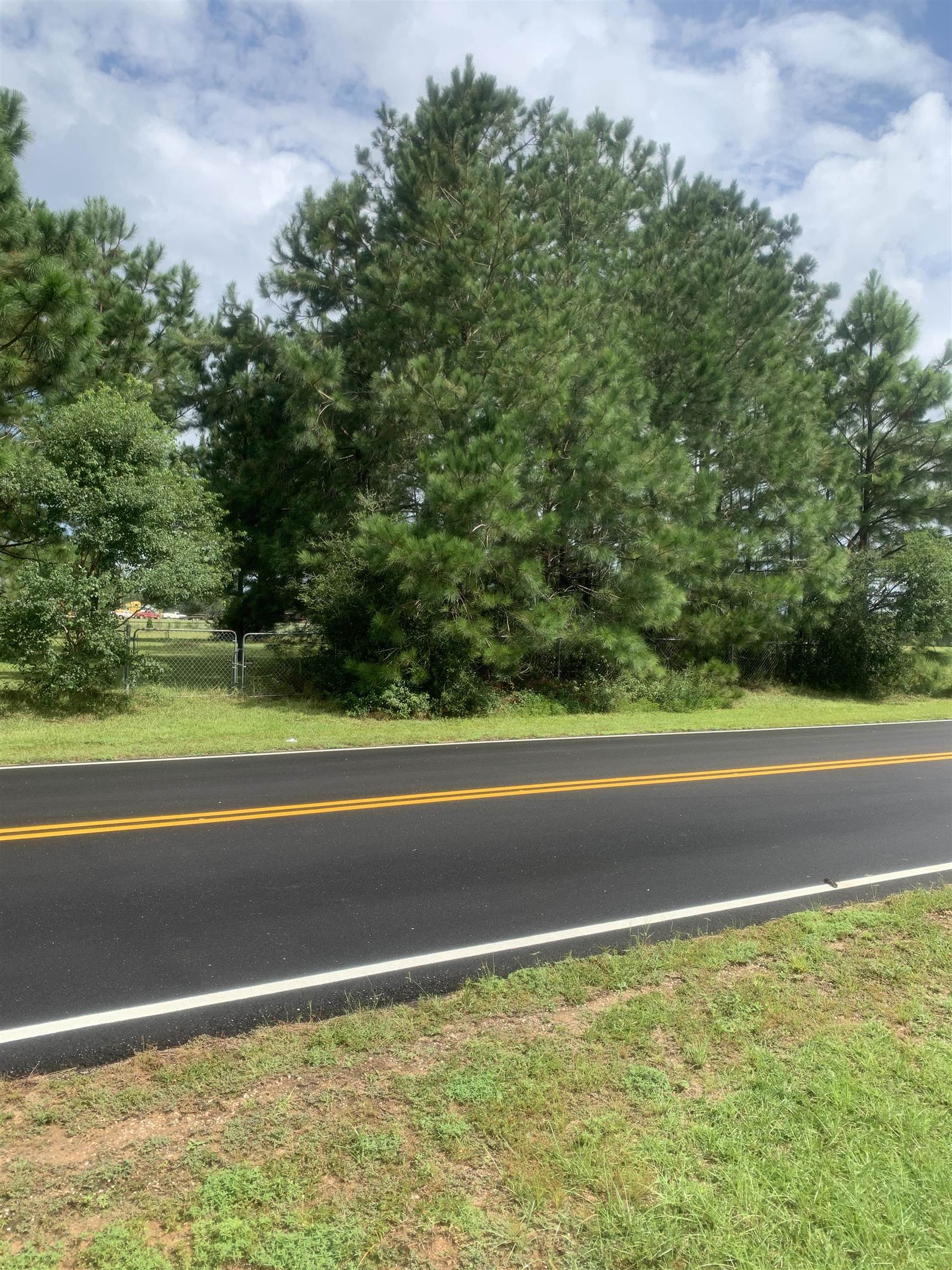 0 Gilley Road Lillian, AL 36549 - Photo 6 of 8