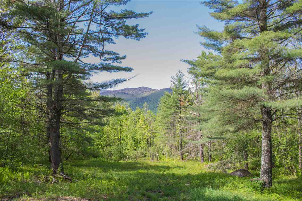 100 Great Hawk Road Rochester, VT 05767 - Photo 31 of 31