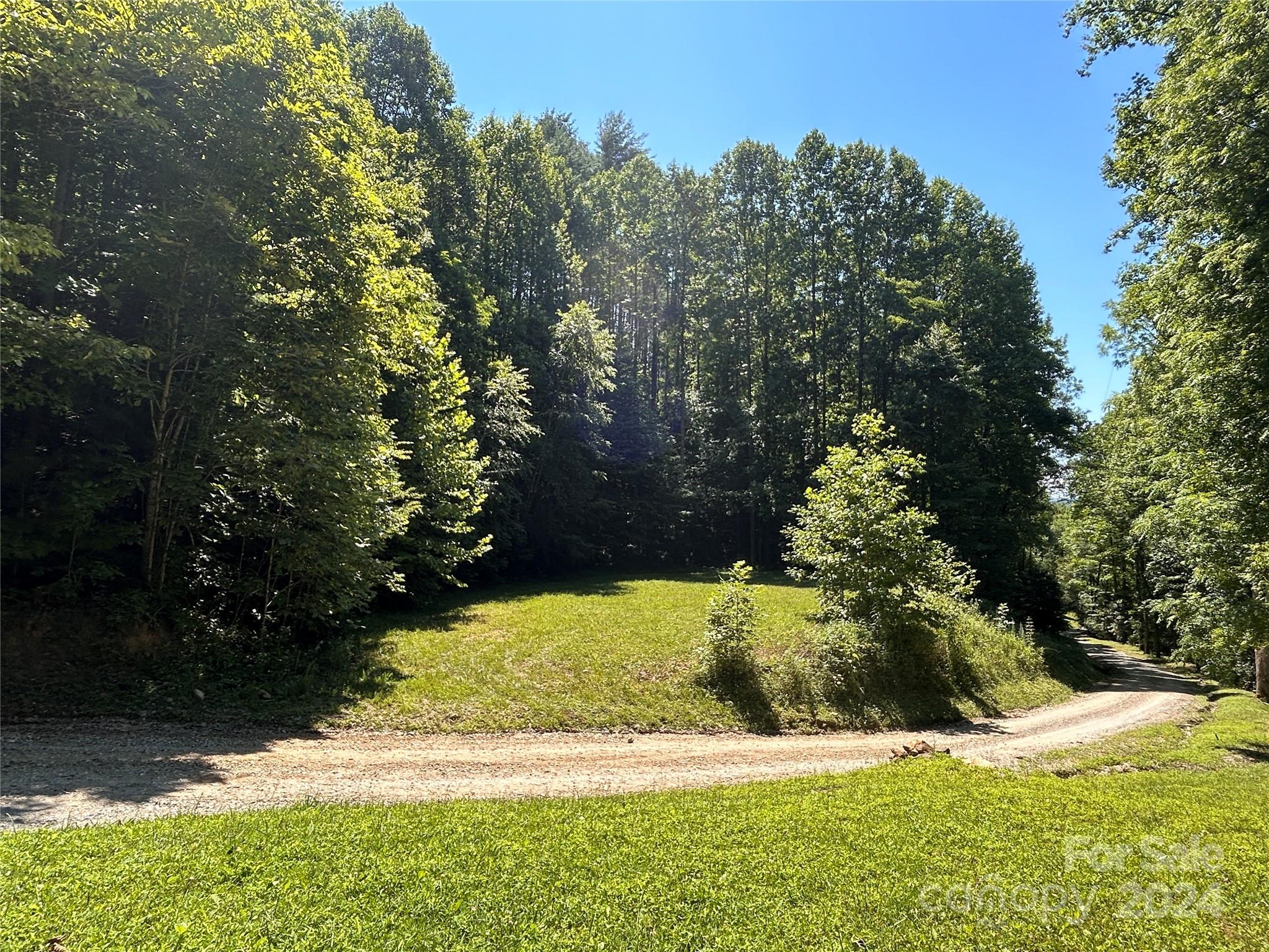 Lot 41 Glory Mountain Road, Unit 41 Bryson City, NC 28713 - Photo 1 of 13 a view of a yard